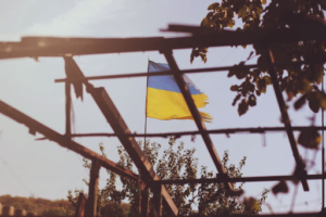 'n Vlag van Oekraine